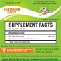 20 gm / Milk Thistle Extract Silymarin 80% Powder Liver Health Detoxification Detox
