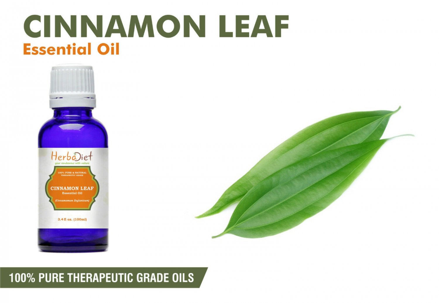 30 ML Cinnamon Leaf Essential Oil 100% Pure Natural Therapeutic Grade Oils- New/Sealed