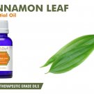 30 ML Cinnamon Leaf Essential Oil 100% Pure Natural Therapeutic Grade Oils- New/Sealed