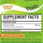 20 gm PURE SENOLYTIC Quercetin 98% Extract Powder cardiovascular & respiratory Health