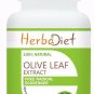 30 capsules PURE Olive Leaf Extract 20% Oleuropein 500mg Capsules Antioxidant Immune Support