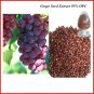 20 gm PURE & Natural Grape Seed 100:1 Extract Powder 95% OPC PREMIUM Grade Antioxidant