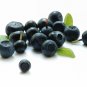 Acai Berry Extract Powder 10:1 High Quality Antioxidant For Good Health & Energy
