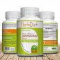 30 capsules Liver Detox Andrographis paniculata EXTREME POTENCY 90% HPLC Extract Capsules