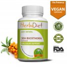 30 CAPSULES Sea Buckthorn Extract Veggie Capsules Free Radical Scavenger Natural Antioxidant