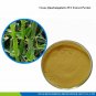 20 gm /   Cissus Quadrangularis 25:1 Extract Powder Bone Strengthening Joint Supplement
