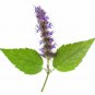 30 ML Stress Relief Essential Oil Blend 100% Pure Therapeutic Grade Aromatherapy Oils