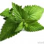 30 ML Breathe Easy Essential Oil Blend Respiratory Synergy Pure Therapeutic Grade Oils