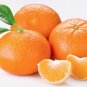 30 ml. Citrus Bliss Essential Oil Blend Mask Unpleasant Smell Therapeutic Grade Oils