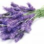 30 ml Purify Cleansing Essential Oil Blend Natural Disinfectant Therapeutic Grade Oils