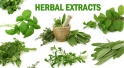 Herbal-Extracts