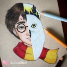 “HARRY POTTER & HEDWIG” ORIGINAL ARTWORK