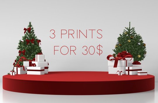 3 PRINTS FOR 30$