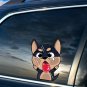 "CHIHUAHUA SPLAT!â CUTE EYES VINYL STICKER