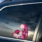 "CHESHIRE” PEEKER VINYL STICKER