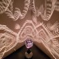 Cocanet shell heart light 4