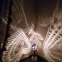 Cocanet shell heart & flower light