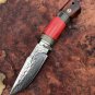 DAMASCUS SURVIVAL OUTDOOR CAMPING HUNTING KNIFE FIXED BLADE W/ SHEATH HORN WOOD