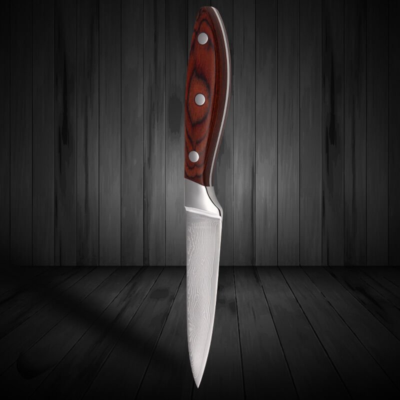 3.5 Inch Damascus Stainless Steel Fruit Knife Chef Kitchen Knives Wooden Handle