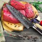 NEW 8'' Chef Knife Japanese VG10 67-layer Damascus Stainless Steel Kitchen Knife