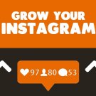 I Will Professionally Grow Your Instagram Monthly