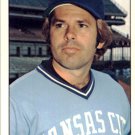 1976 SSPC 159 Nelson Briles 1976 SSPC 159 Nelson Briles