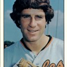 1976 SSPC 380 Jim Palmer