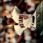 1994 Stadium Club Team 231 Heathcliff Slocumb