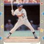 1988 Fleer Star Stickers #33 Kevin Seitzer