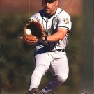 1999 Pacific 243 Fernando Vina