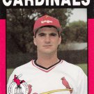 1988 Springfield Cardinals Best 5 Gregory Becker 1988 Springfield Cardinals Best 5 Gregory Becker
