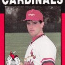1988 Springfield Cardinals Best 9 James Gibbs 1988 Springfield Cardinals Best 9 James Gibbs