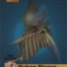 1996 Sportflix ProMotion 19 Ruben Rivera