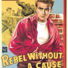 Rebel Without a Cause Movie Poster Print HD Wall Art Home Decor Silk 27" x 40"