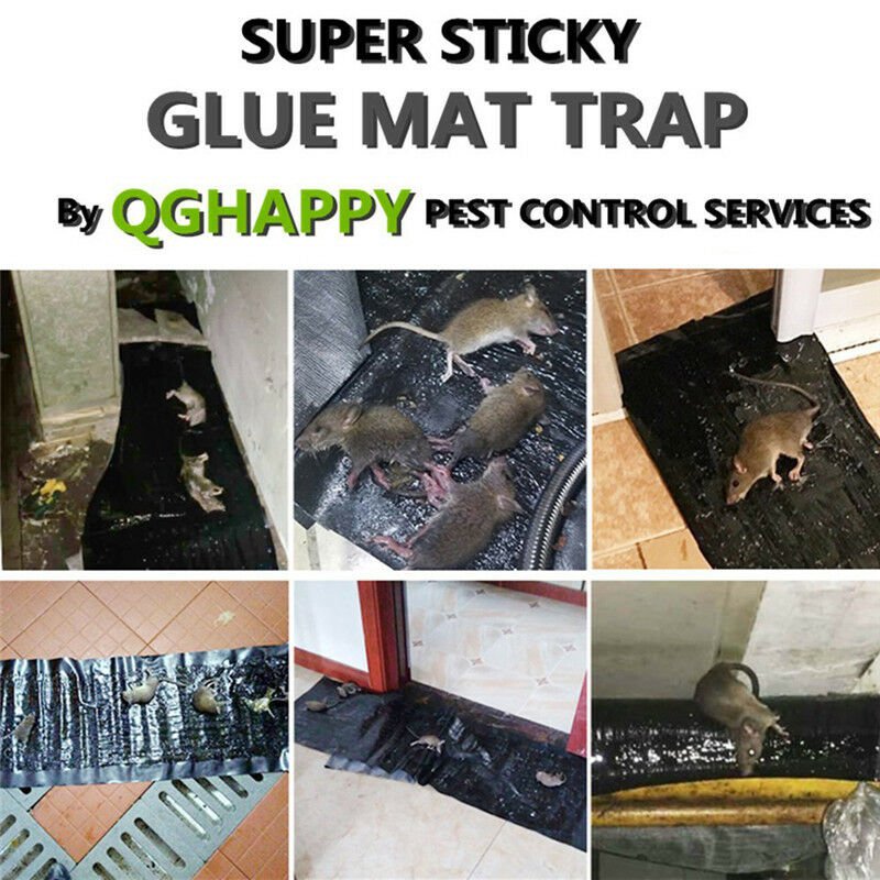 Mice Rat Mouse LARGE Glue Traps Sticky Bug Pest Rodent Control Baited Safe