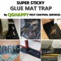 Mice Rat Mouse LARGE Glue Traps Sticky Bug Pest Rodent Control Baited Safe