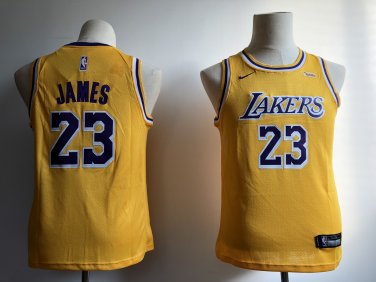  Lebron James Los Angeles Lakers Purple #23 Youth 8-20