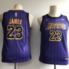 Youth Los Angeles Lakers #23 LeBron James Purple Basketball Jersey Stitched
