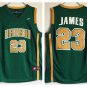 Men's Lebron James #23 Irish High School Basketball Jersey Green Stitched