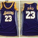 Women's Los Angeles Lakers 23# LeBron James Purple Dress Basketball Jersey