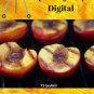 BBQ & Grilled Fruit Recipes Ebook