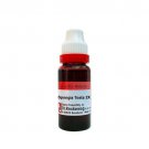 Dr Reckeweg Spongia Tosta Q Mother Tincture 20ml