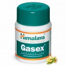 Himalaya Herbal Gasex 100 Tablets | 1 Pack