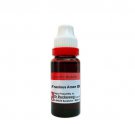 Dr Reckeweg Fraxinus Americana Q Mother Tincture 20ml