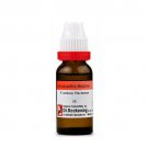 1x Dr Reckeweg Carduus Marianus 6CH Dilution 11ml