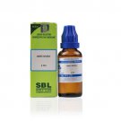 SBL Homeopathy Abies Nigra 3CH 6CH 12CH 30CH 200CH 1000CH Dilutions 30ml