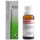 1x Dr Reckeweg Germany R32 Excessive Perspiration Drops 22ml | 1 Pack