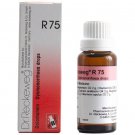 1x Dr Reckeweg Germany R75 Labour Pains & Menstrual Cramps Drops 22ml | 1 Pack