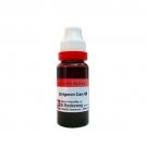 1x Dr Reckeweg Erigeron Canadensis Q Mother Tincture 20ml
