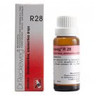1x Dr Reckeweg Germany R28 Exhaustion Drops 22ml | 1 Pack